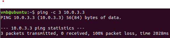ICMP ping blocked — client-side timeout output