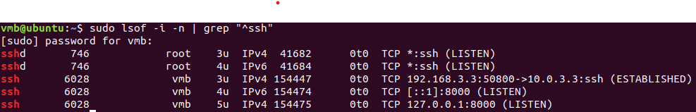 Proxy bypass attempt through OPT2 — caught and blocked